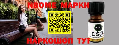 дмт Аргун