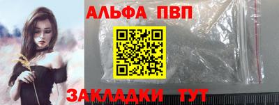 дмт Аргун