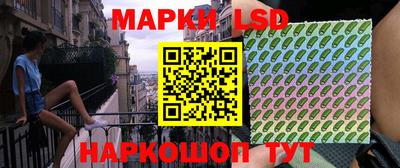дмт Аргун
