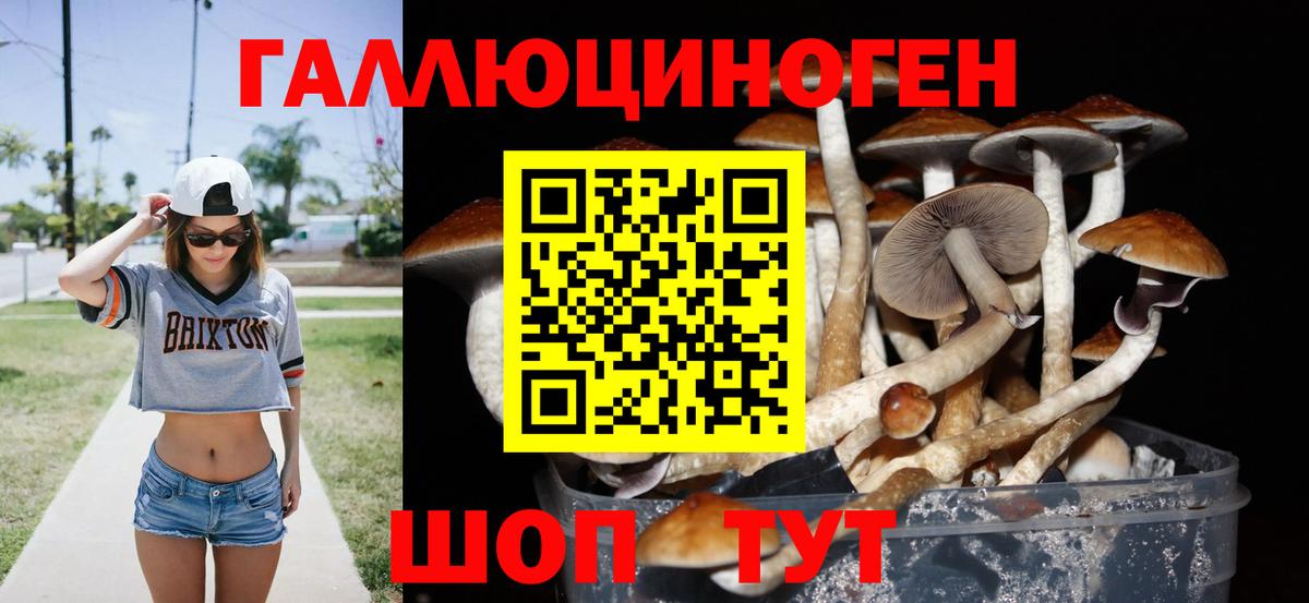 Ульяновск  Псилоцибиновые грибы мицелий  Вход с VPN 