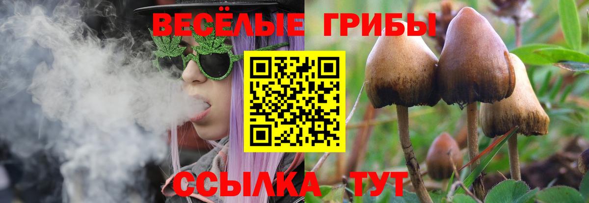 Псилоцибиновые грибы Magic Shrooms Ульяновск